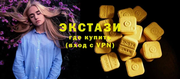 ECSTASY Богородицк