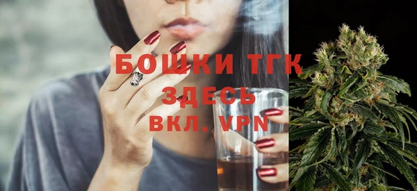 ECSTASY Богородицк