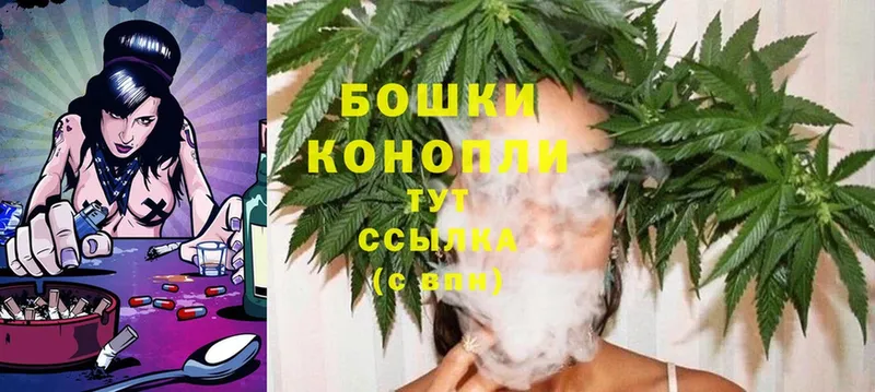 продажа наркотиков  Покров  Канабис Ganja 